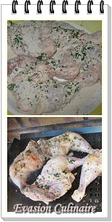 poule_grille-copie-1.jpg